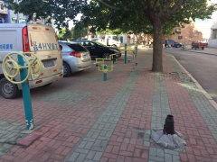 户外辉最新爆料,最新爆料背后的惊人真相